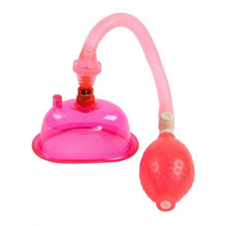 Pompa per Vagina Pump Pink Pussy